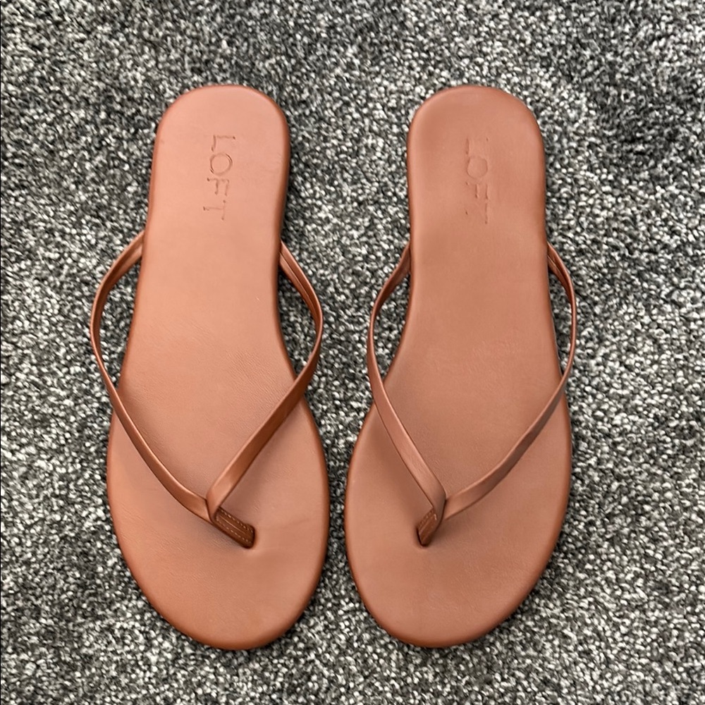 LOFT Women's Brown Flip-Flop Sandals